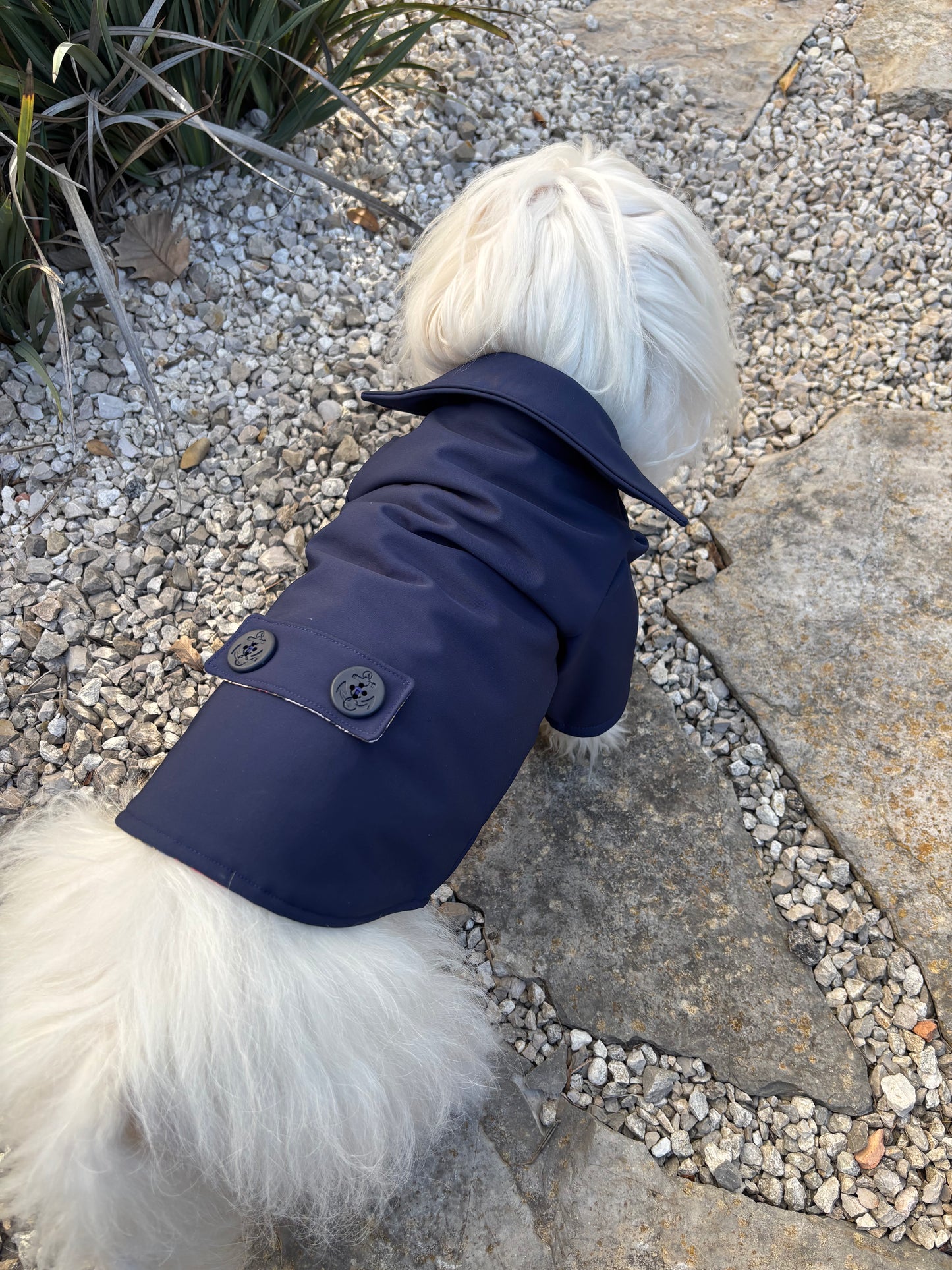 Caban bleu marine