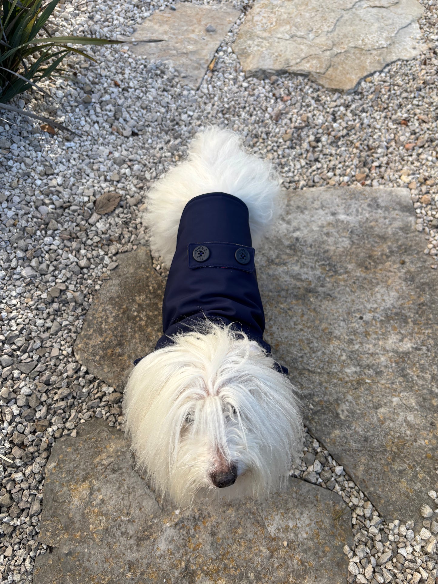 Caban bleu marine